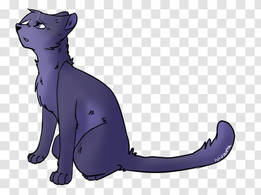 Bluestar's Prophecy Cat Whiskers Kitten - Mammal Transparent PNG