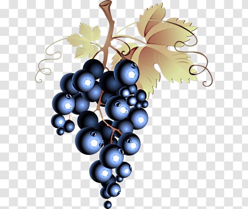 Grape Fruit Grapevine Family Berry Plant Transparent PNG