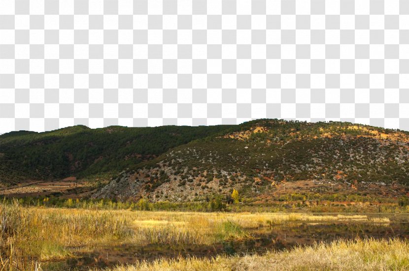 Lugu Lake Poster - Prairie - Reeds Transparent PNG