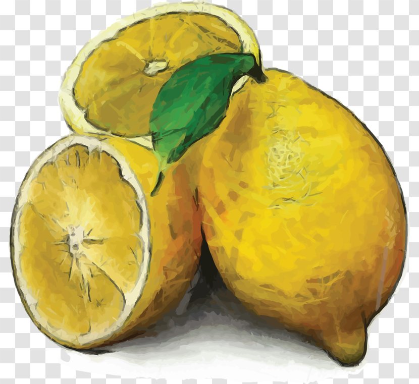 Lemon Watercolor Painting Still Life - Photography Transparent PNG