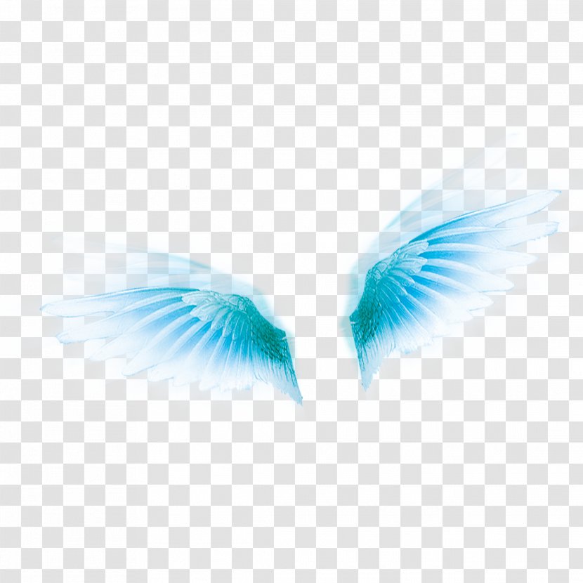 Wing Icon - Blue - Pretty Wings Transparent PNG