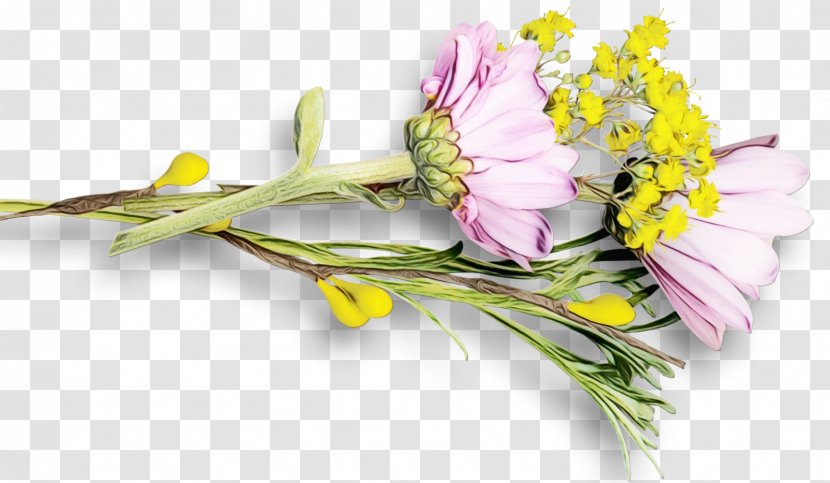 Watercolor Floral Background - Wildflower - Freesia Transparent PNG