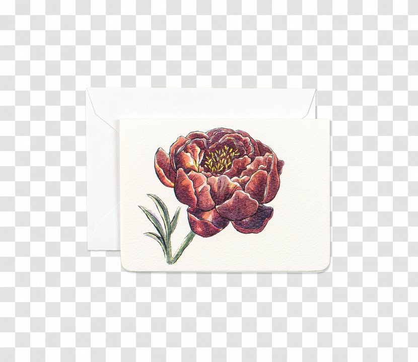 Flower Paper Peony Symbol Greeting & Note Cards - Cut Flowers - Watercolor Transparent PNG