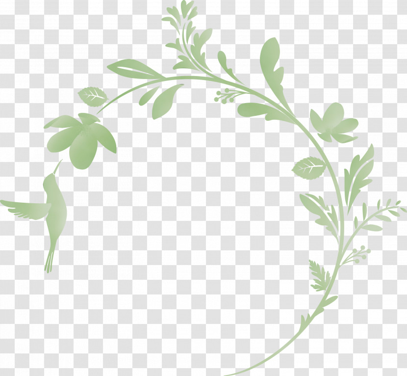 Parsley Transparent PNG