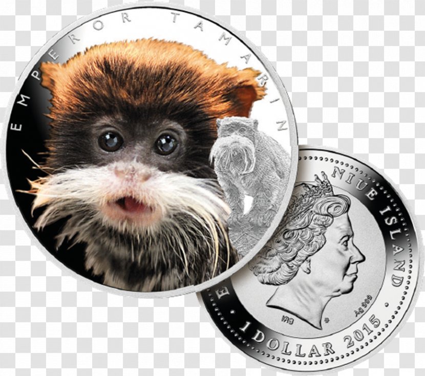 Bearded Emperor Tamarin Silver Coin Monkey Transparent PNG