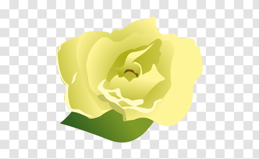 Cape Jasmine Gardenia Taitensis Flower Transparent PNG