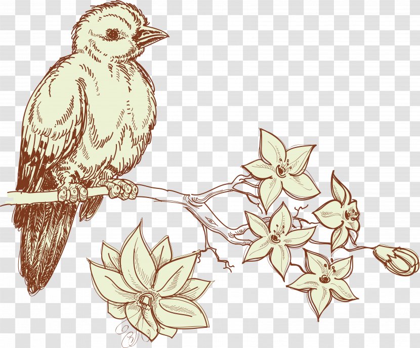 Bird Sparrow Drawing - Wing - Vector Transparent PNG