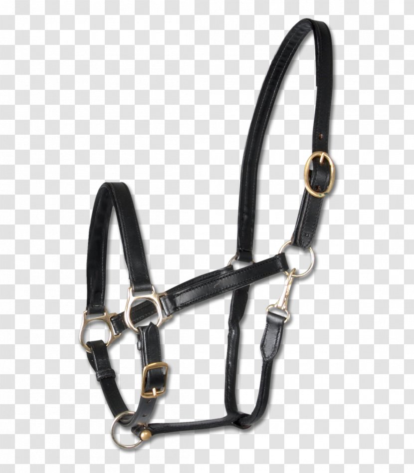 Horse Halter Bridle Leather Equestrian - Caballo De Sangre Caliente Transparent PNG