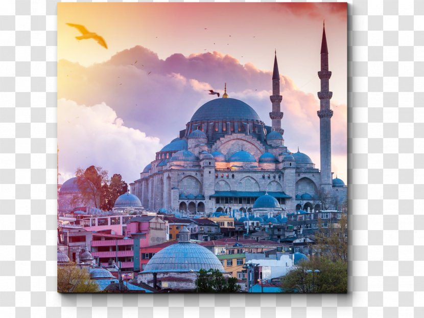 Travel 2017 Block Of Wikipedia In Turkey Medical Tourism Country Transparent PNG