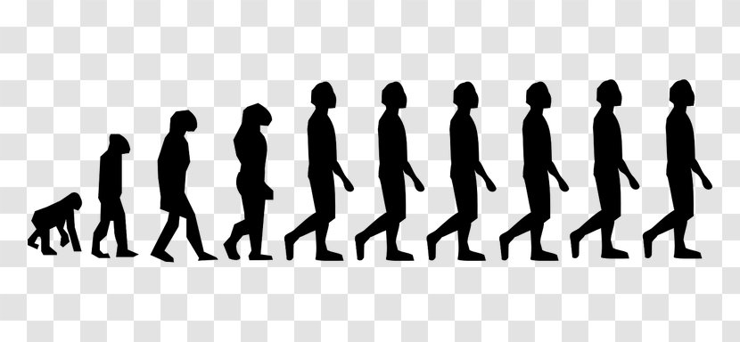 Neandertal Homo Sapiens Human Evolution Primate - Upright Man - Science Transparent PNG