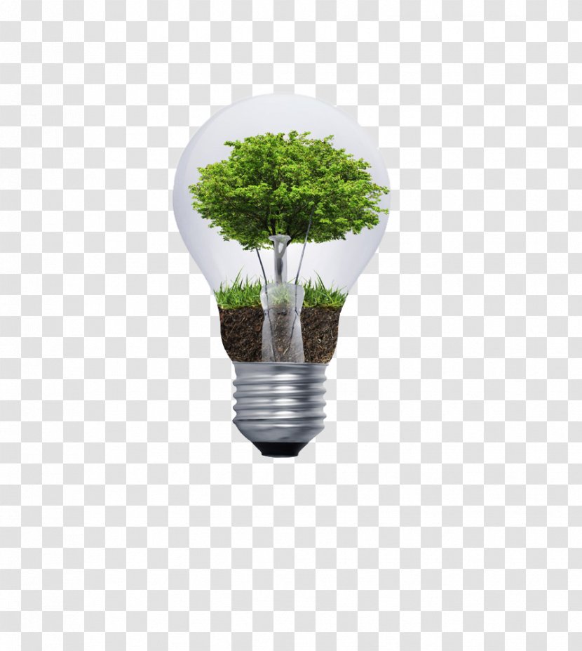 Incandescent Light Bulb Tree - Lighting - Design Transparent PNG