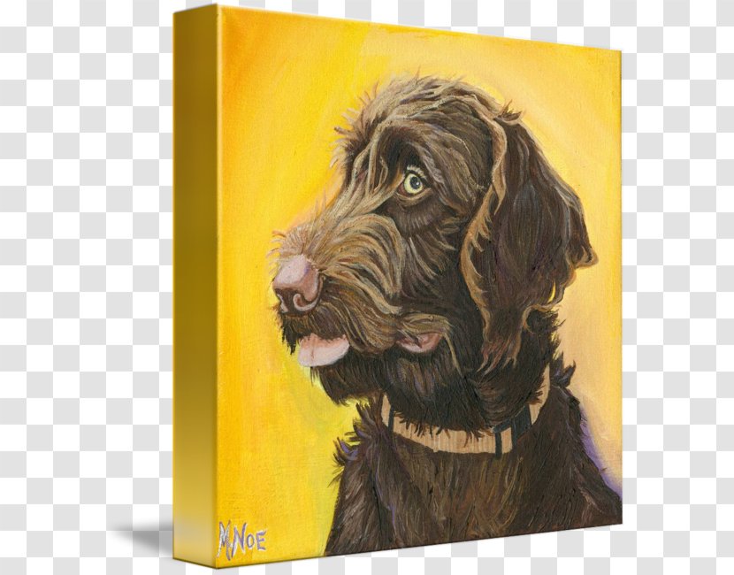 Boykin Spaniel Flat-Coated Retriever Labradoodle Wirehaired Pointing Griffon Labrador - Painting Transparent PNG