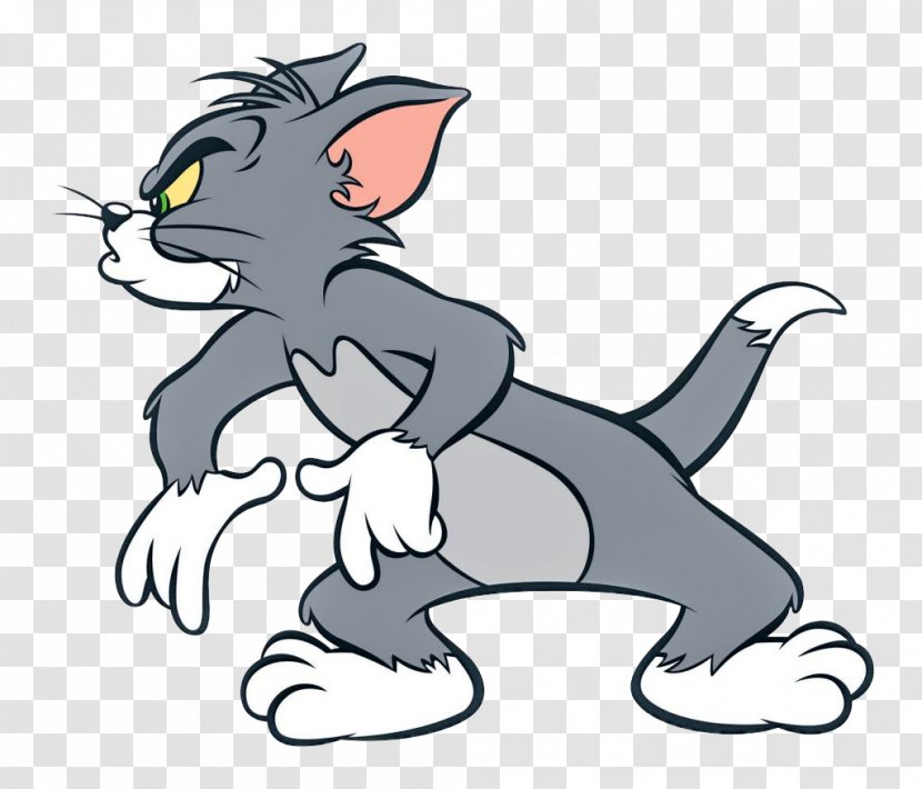 Tom Cat Jerry Mouse And Cartoon - Artwork Transparent PNG