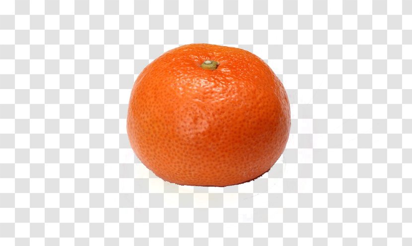 Clementine Blood Orange Mandarin Grapefruit Tangerine - 3d Fruits Silhouettes Painted Material Transparent PNG