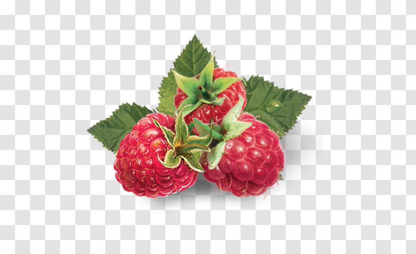 Strawberry Stock Photography Red Raspberry Food - Black Transparent PNG