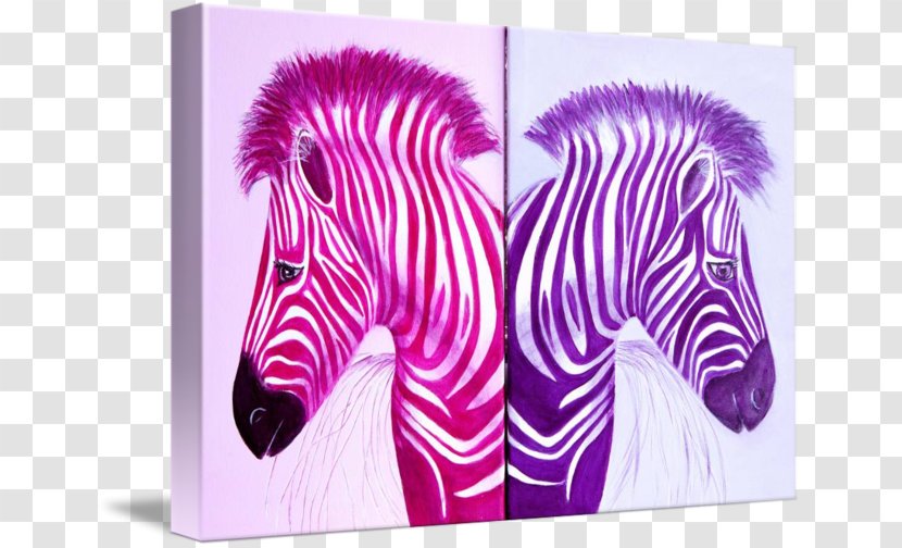 Quagga Horse Zebra Gallery Wrap Canvas - Magenta Transparent PNG