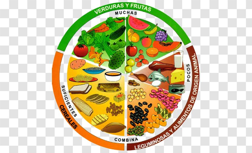 Plato Del Buen Comer Food Eating Plate Nutrition Transparent PNG