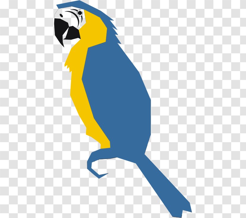 Parrot Budgerigar Blue-and-yellow Macaw Clip Art - Beak Transparent PNG