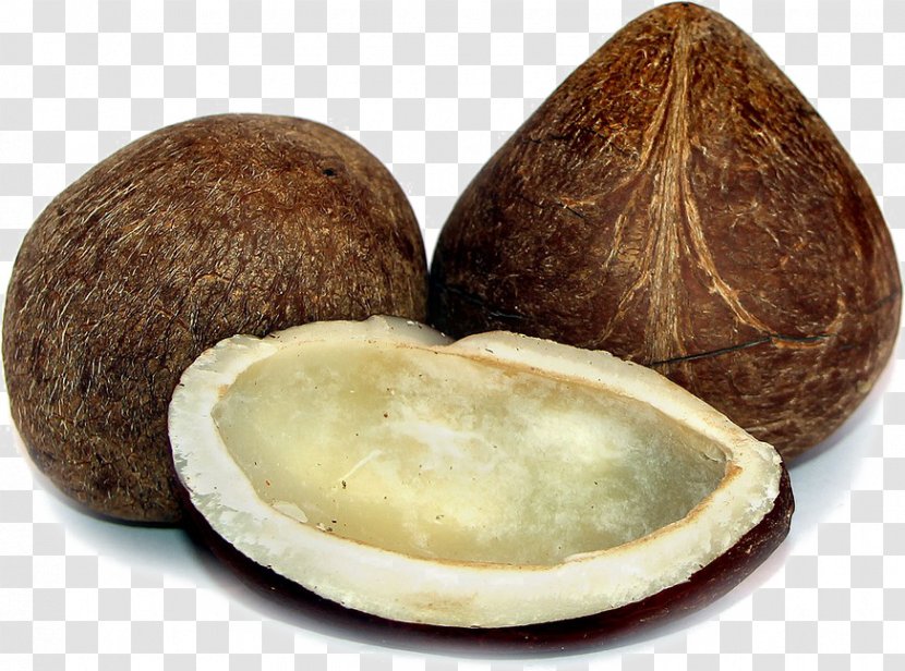 Coconut Milk Dried Fruit Copra Food Drying Transparent PNG