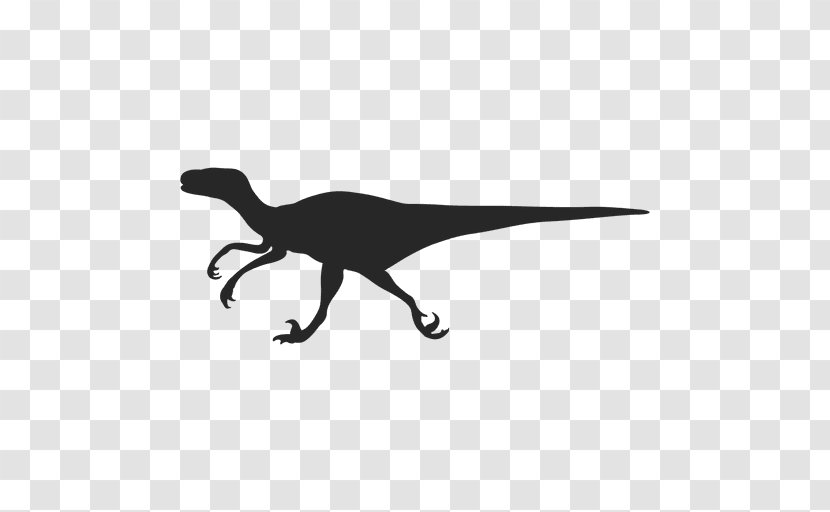 Velociraptor Dinosaur Deinonychus Troodon - Tyrannosaurus - Vector Transparent PNG