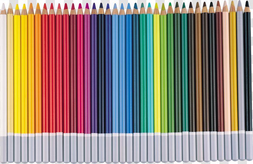 Paper Colored Pencil Stationery - Pen - CRAYON Transparent PNG