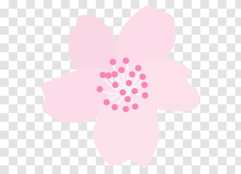 Illustration Cherry Blossom Graphics Image Text - Petal Transparent PNG