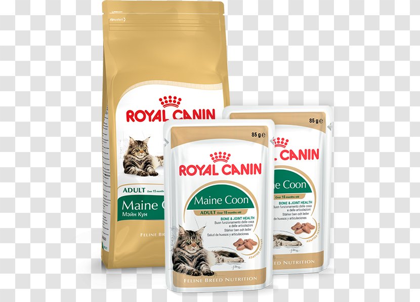 Maine Coon Cat Food British Shorthair Persian Norwegian Forest - Pet - Dog Transparent PNG