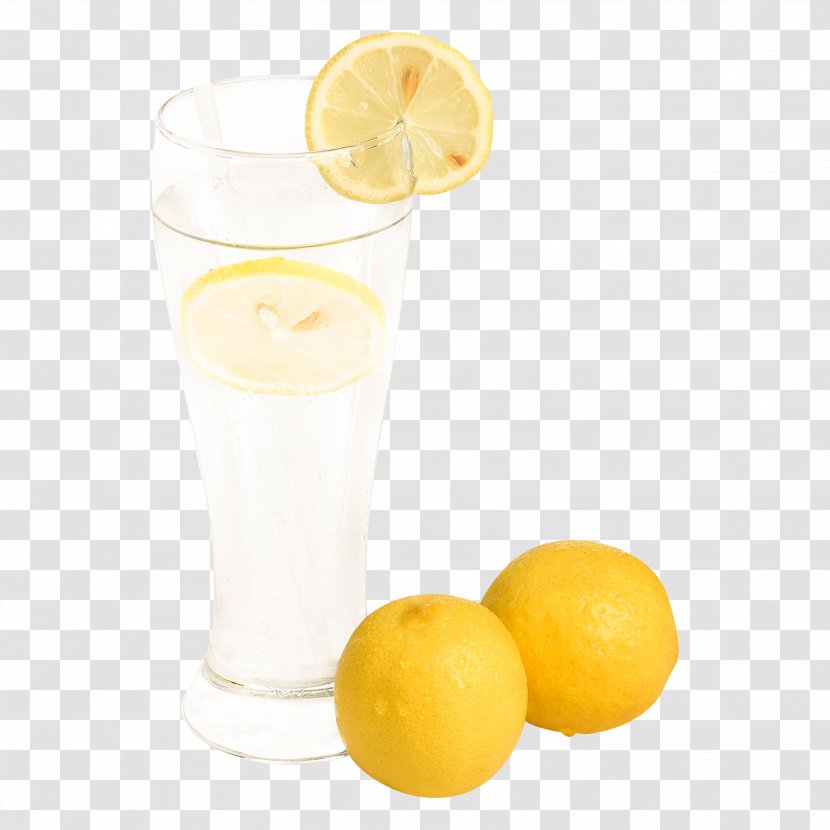 Harvey Wallbanger Lemon Juice Orange Drink - Lime - In Kind,Kumquat Juice,Single Page Transparent PNG