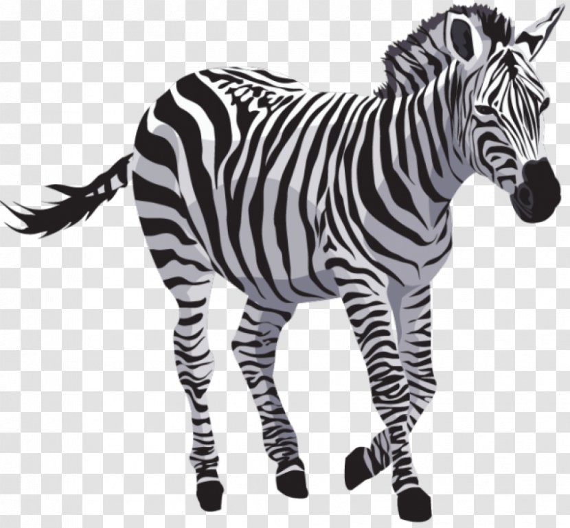 Clip Art Zebra Image Transparency - Terrestrial Animal Transparent PNG