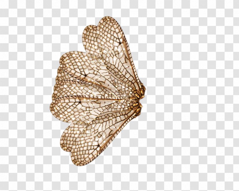Butterfly Bat Insect Wing Bee Transparent PNG