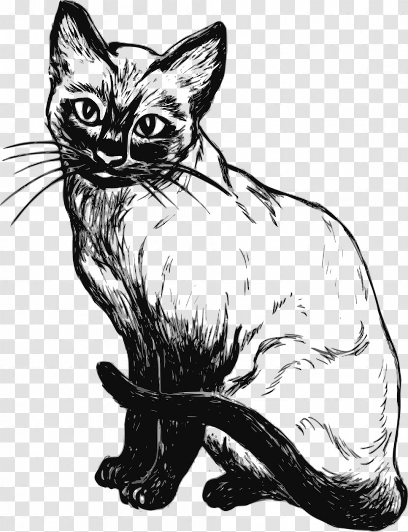 Siamese Cat Kitten Drawing Clip Art Snowshoe - Monochrome Transparent PNG