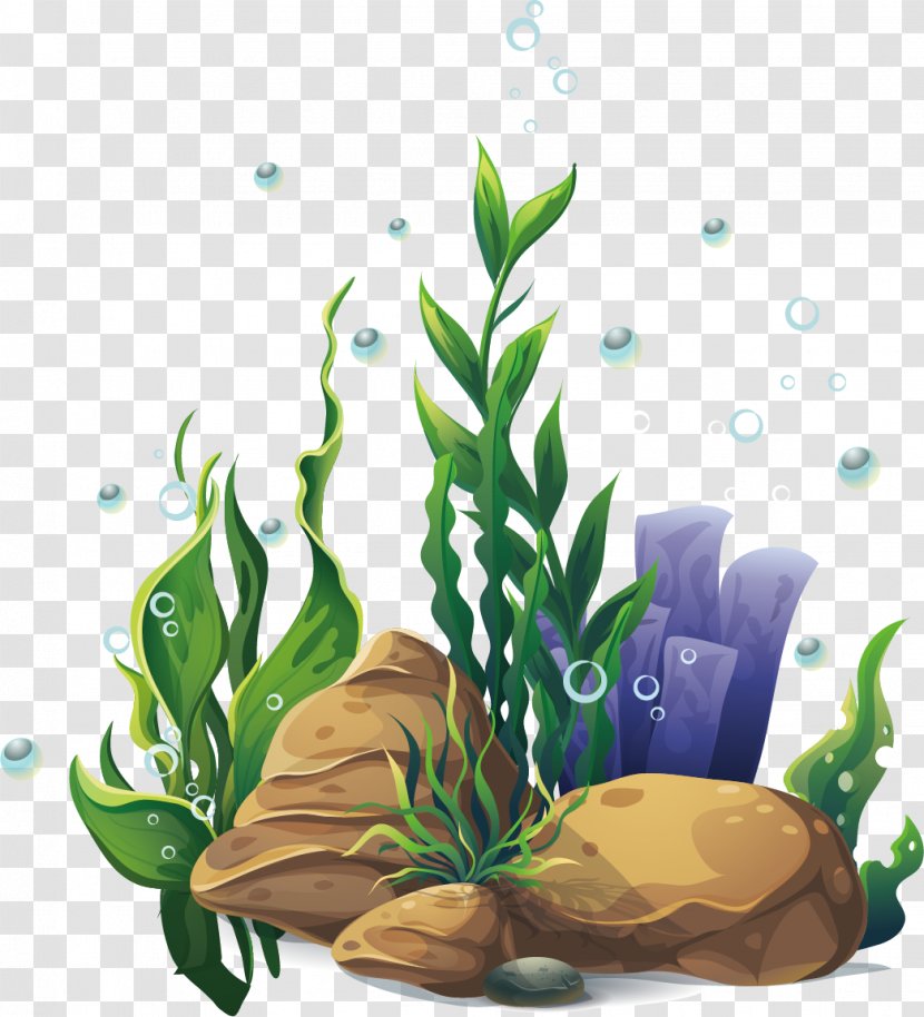 Aquatic Plants Cartoon - Tree - Poster Transparent PNG