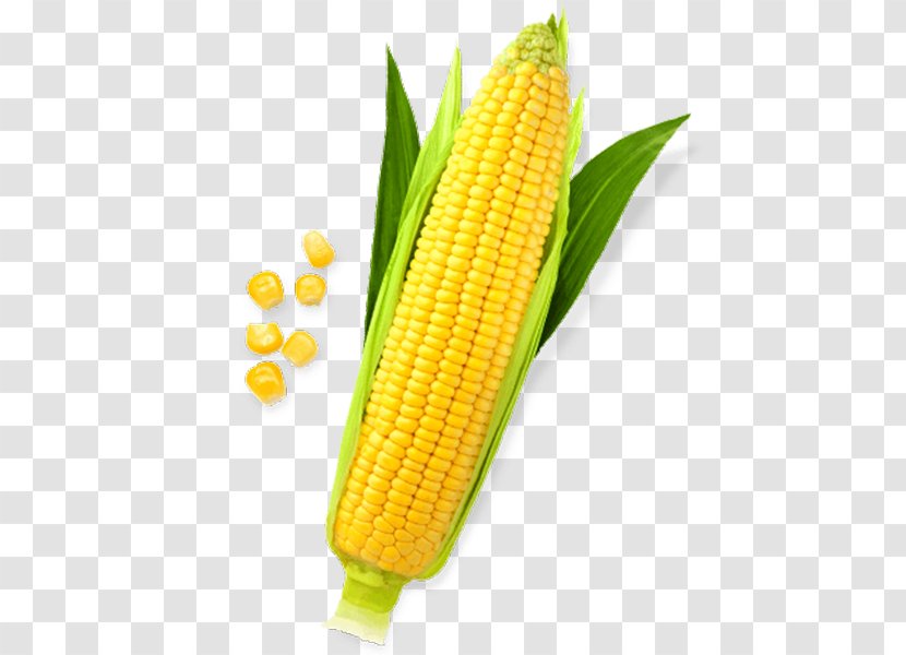 Corn On The Cob Maize Sweet Clip Art - Vegetarian Food - Fruit Transparent PNG