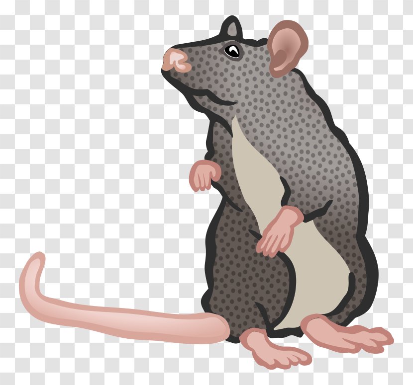 Mouse Blog Clip Art - Black Rat Transparent PNG