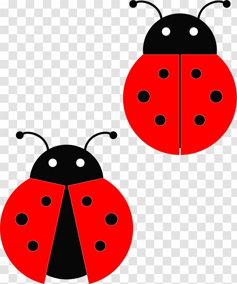 Ladybird - Insect - Ladybug Transparent PNG