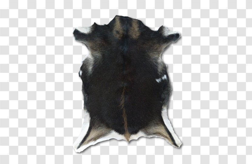 Snout Fur - Goat Furry Transparent PNG