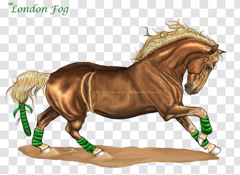 Mustang Pony Stallion Mare Halter - Vertebrate Transparent PNG