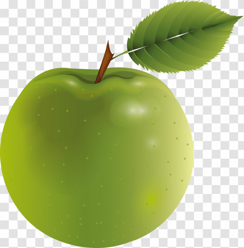 Apple Clip Art - Stock Footage - Green Cartoon Transparent PNG