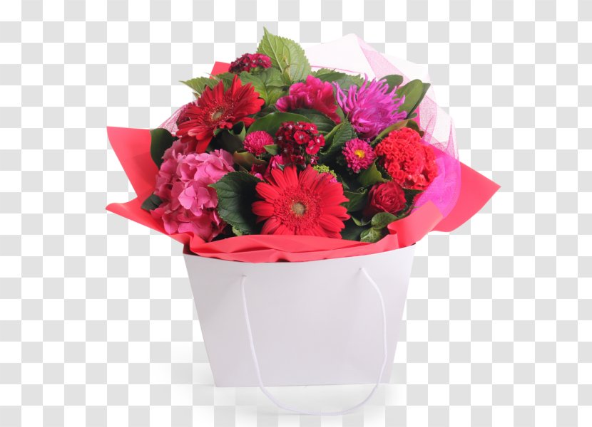 Floral Design Cut Flowers Carnation Flower Bouquet - Pink Family Transparent PNG