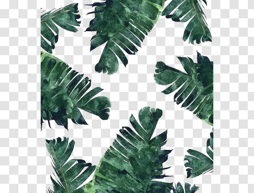 Banana Leaf Canvas Print Watercolor Painting Wallpaper - Paper - Dark Green Transparent PNG