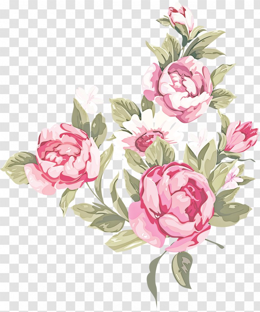 Garden Roses - Flowering Plant - Common Peony Transparent PNG