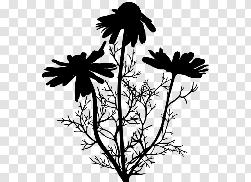 Twig Plant Stem Flower Leaf Clip Art - Tree - Plants Transparent PNG