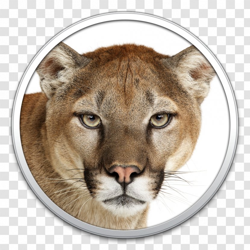 OS X Mountain Lion MacOS Mac Apple - Terrestrial Animal - Puma Transparent PNG