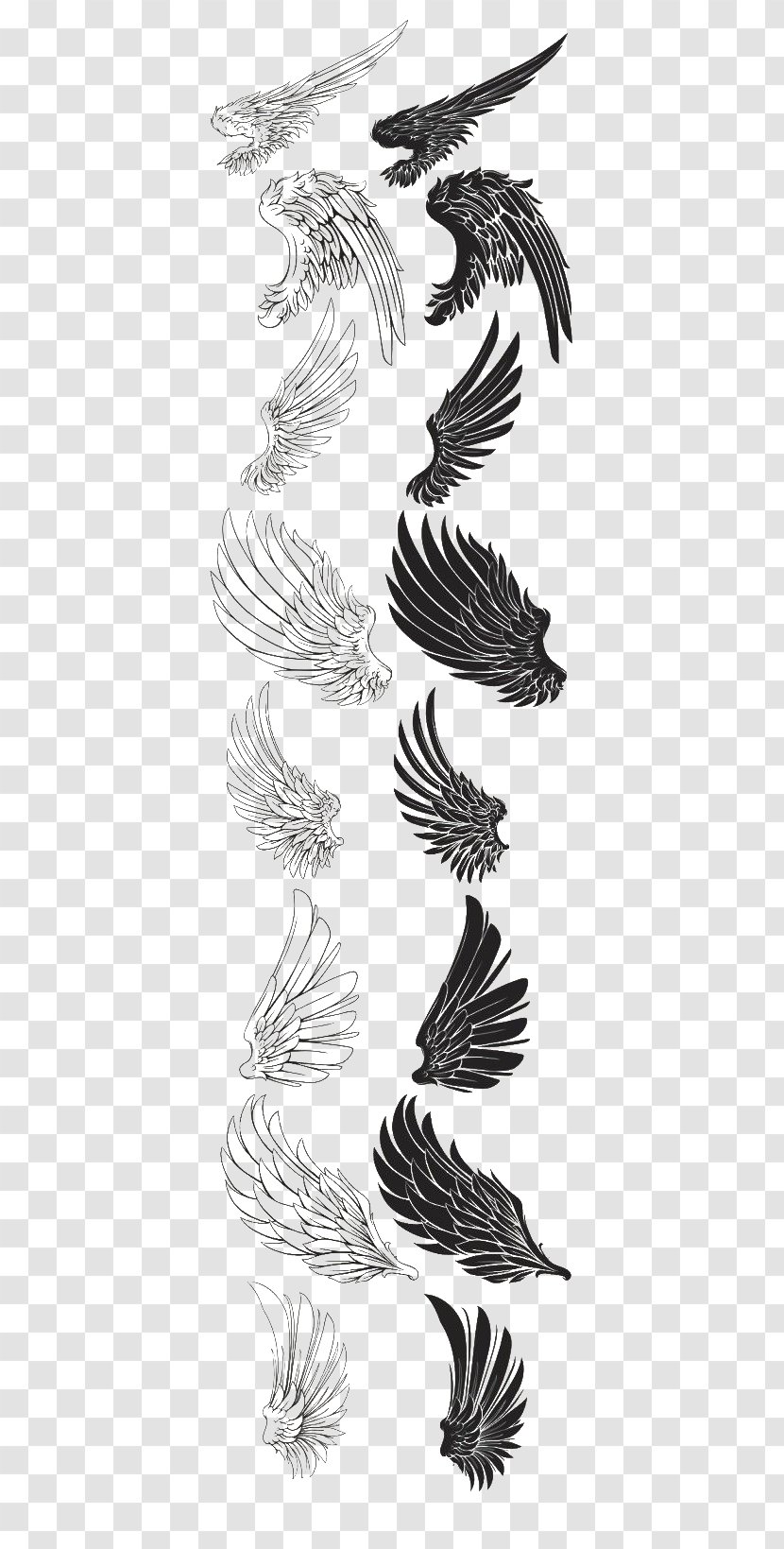 Drawing Brush Feather - Tattoo - Eagle Wings Transparent PNG