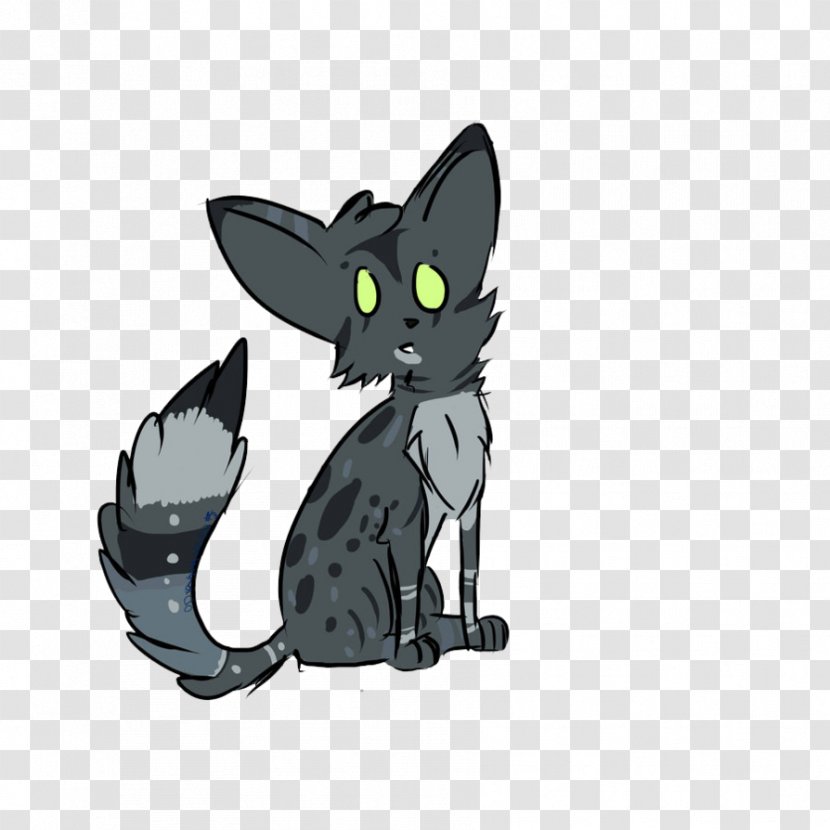 Korat Black Cat Kitten Whiskers Domestic Short-haired - M - Fiery Dragon Transparent PNG