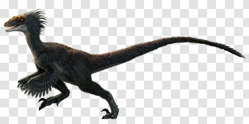 Velociraptor Primal Carnage: Extinction Dinosaur Tyrannosaurus - Beak - Bearded Dragon Transparent PNG