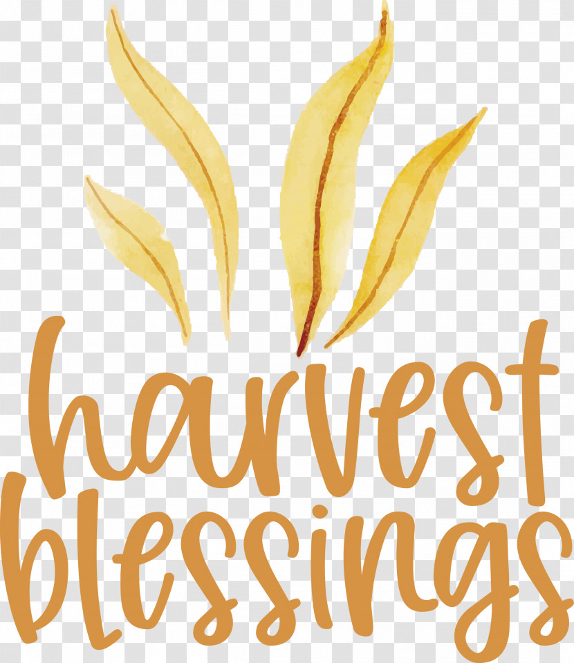 HARVEST BLESSINGS Harvest Thanksgiving Transparent PNG