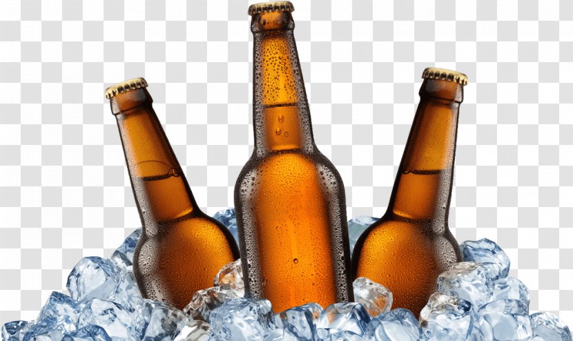 Ice Beer Budweiser Drink - Drinkware - Iced Transparent PNG