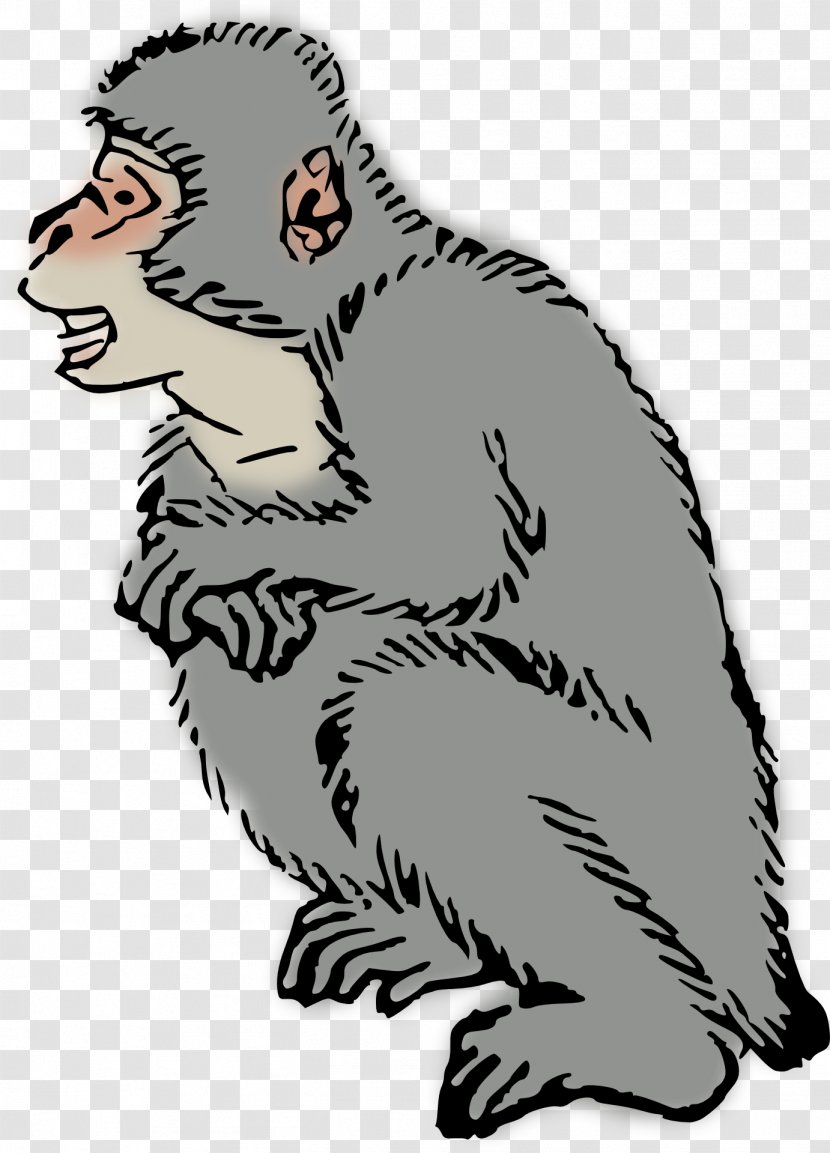 Ape Japanese Macaque Clip Art - Organism - Monkey Transparent PNG