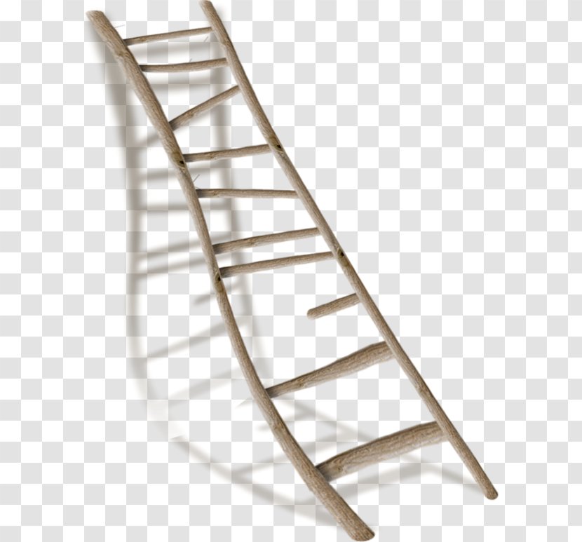 Ladder Wood Stairs - Tree - Wooden Transparent PNG